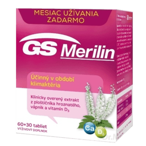 GS Merilin
